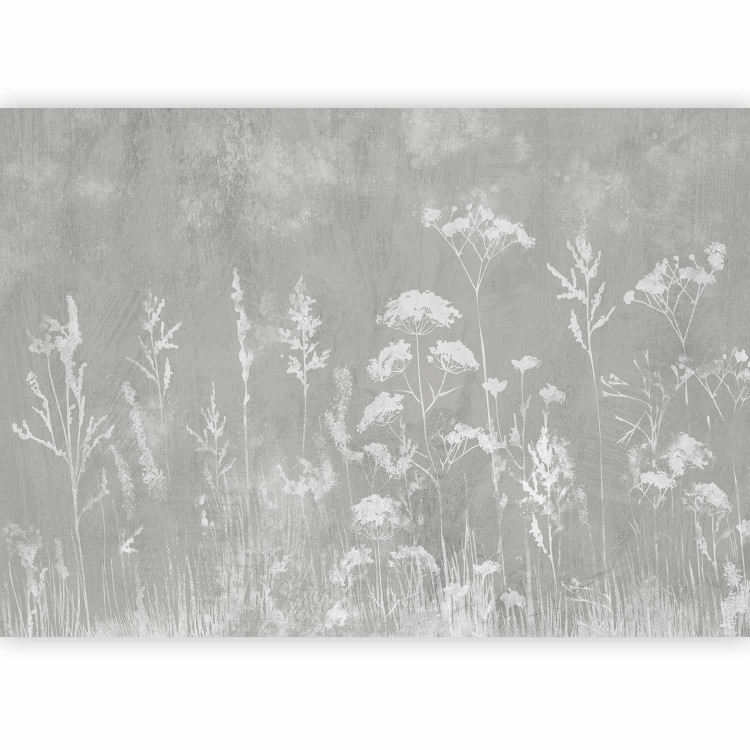 Wall Mural Delicate face of the meadow - a composition in white and gray 138580 additionalImage 5