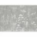 Wall Mural Delicate face of the meadow - a composition in white and gray 138580 additionalThumb 5