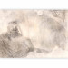 Wall Mural Night abstraction - marble texture in grey with soft colours 143580 additionalThumb 1