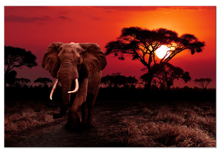 Canvas Print African Trek (1-piece) Wide - second variant - walking elephant 143680