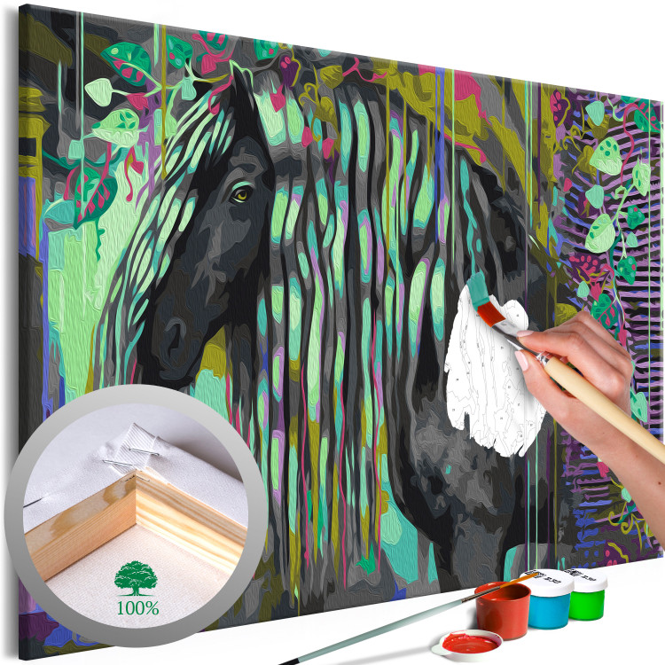 Paint by number Dark Beauty - Long Haired Horse on an Abstract Colored Background 144080
