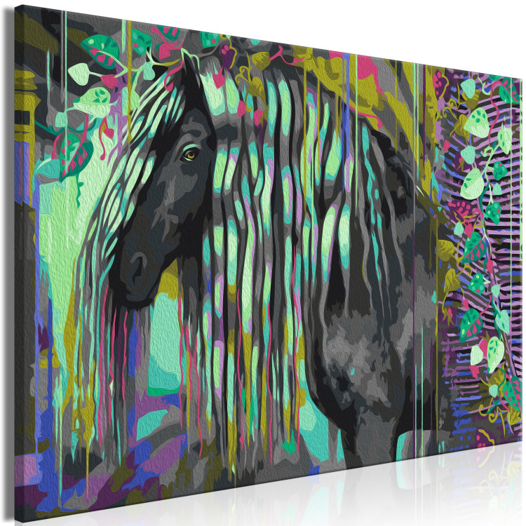 Paint by number Dark Beauty - Long Haired Horse on an Abstract Colored Background 144080 additionalImage 5