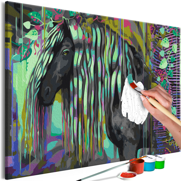 Paint by number Dark Beauty - Long Haired Horse on an Abstract Colored Background 144080 additionalImage 3