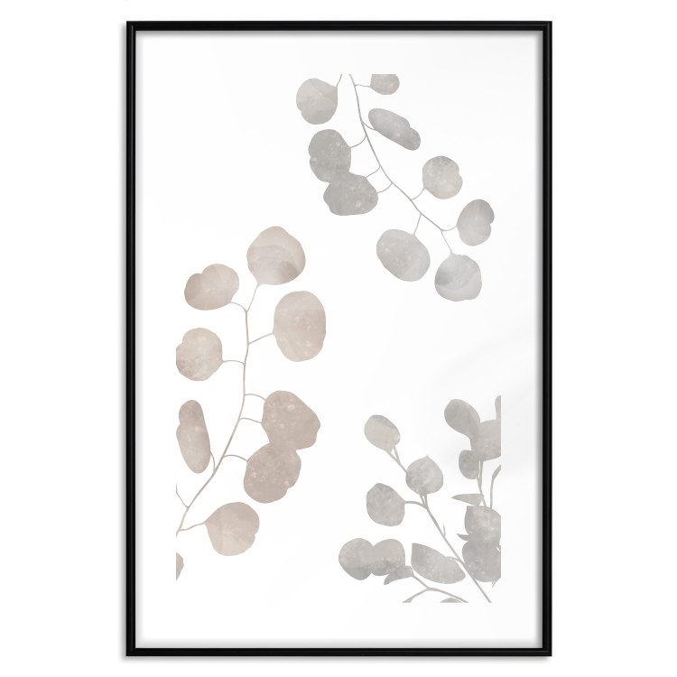 Poster Eucalyptus Plant Composition - Leaves and Twigs on a White Background 146180 additionalImage 24