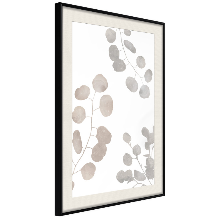 Poster Eucalyptus Plant Composition - Leaves and Twigs on a White Background 146180 additionalImage 19