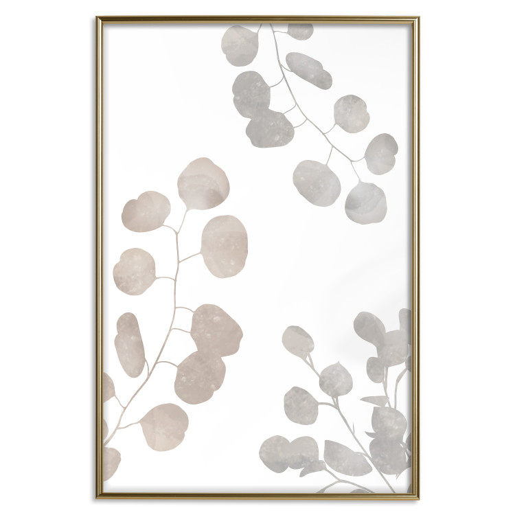 Poster Eucalyptus Plant Composition - Leaves and Twigs on a White Background 146180 additionalImage 23