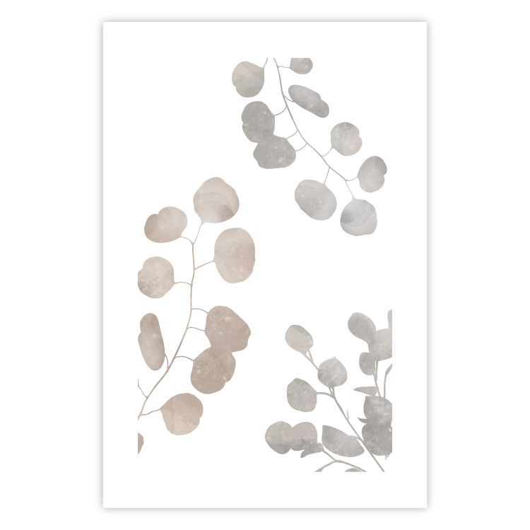 Poster Eucalyptus Plant Composition - Leaves and Twigs on a White Background 146180 additionalImage 20
