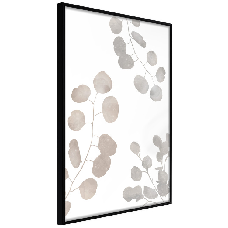 Poster Eucalyptus Plant Composition - Leaves and Twigs on a White Background 146180 additionalImage 7