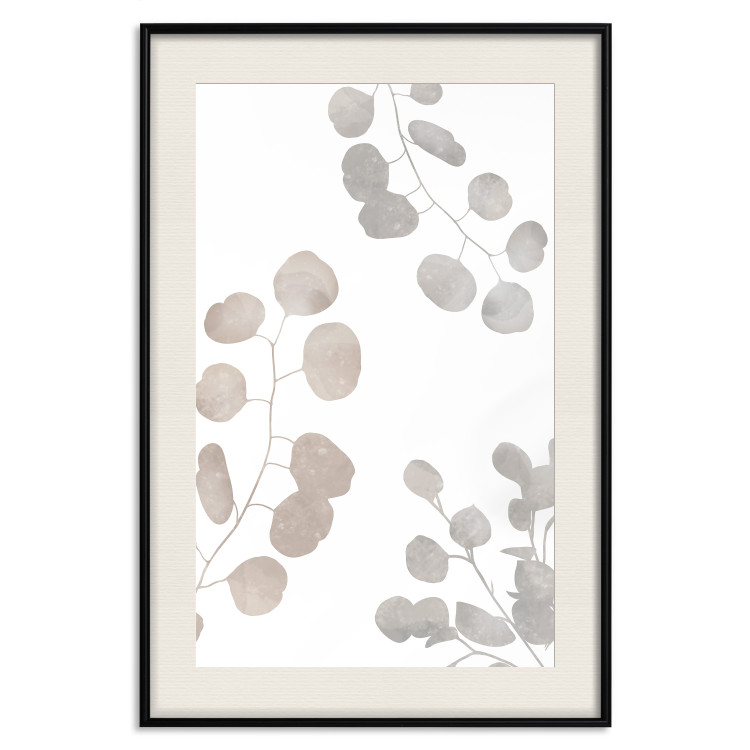 Poster Eucalyptus Plant Composition - Leaves and Twigs on a White Background 146180 additionalImage 26