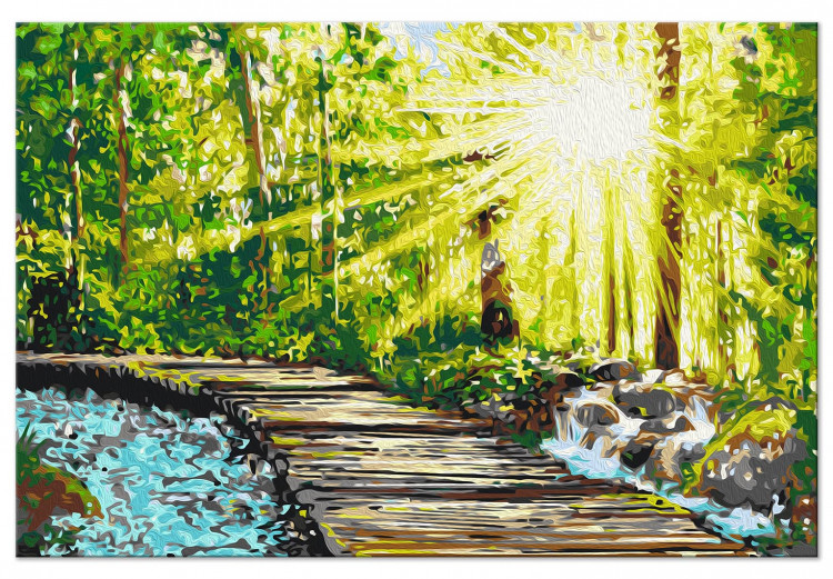 Paint by number Walk in the Forest - Wooden Path Among Trees and a Stream 148880 additionalImage 6