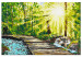 Paint by number Walk in the Forest - Wooden Path Among Trees and a Stream 148880 additionalThumb 6