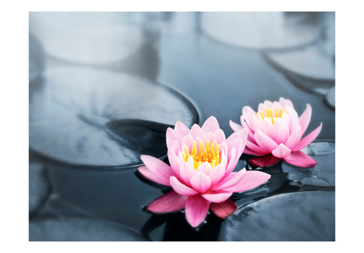Photo Wallpaper Lotus flower - Nature Theme bringing Zen to the living room on a gray background 60680 additionalImage 1
