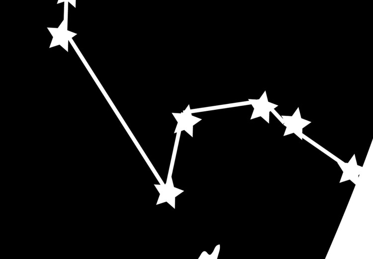 Canvas Zodiac Sign Aquarius (1-Piece) - Graphic Design with Zodiac Sign 114790 additionalImage 5