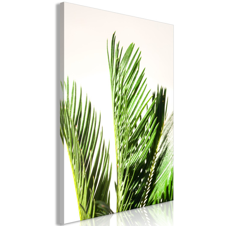 Canvas Print Three palm leaves - leaves of a tropical tree rustling on the wind on a beige background 118990 additionalImage 2