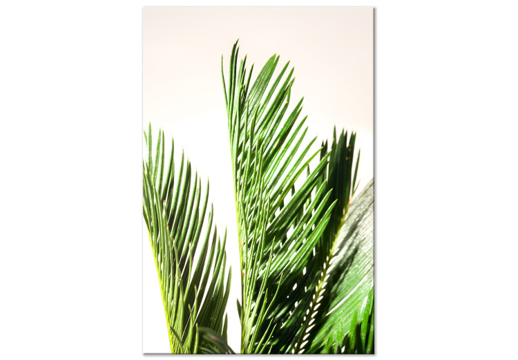 Canvas Print Three palm leaves - leaves of a tropical tree rustling on the wind on a beige background 118990