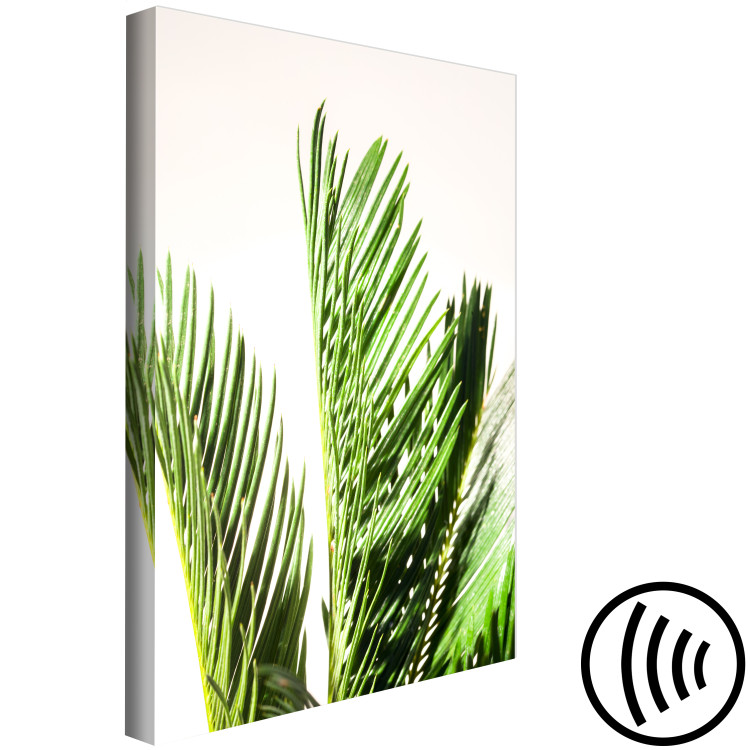Canvas Print Three palm leaves - leaves of a tropical tree rustling on the wind on a beige background 118990 additionalImage 6