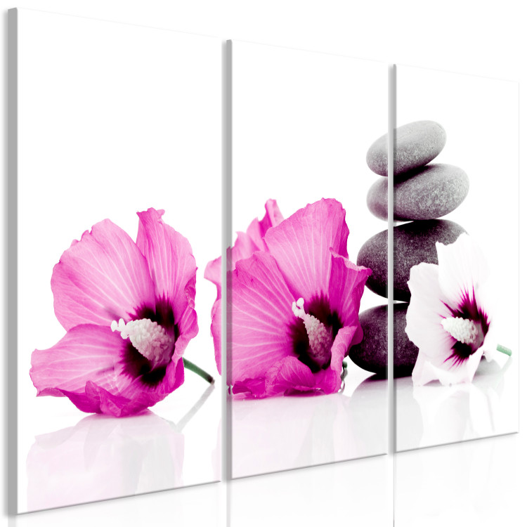 Canvas Print Pink feng shui flowers - oriental composition with mallow and stones 123390 additionalImage 2