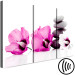 Canvas Print Pink feng shui flowers - oriental composition with mallow and stones 123390 additionalThumb 6