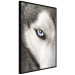Wall Poster Dog's Gaze - black and white dog face with distinct white eye 123990 additionalThumb 10