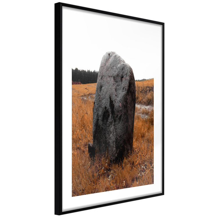 Poster Field Signpost - landscape with black stone against golden meadow 124390 additionalImage 11