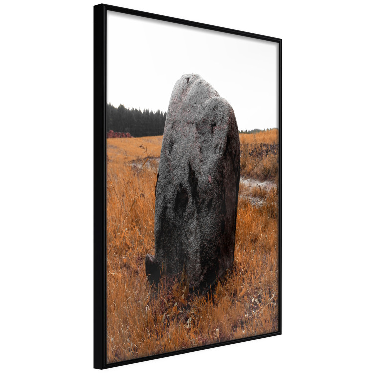 Poster Field Signpost - landscape with black stone against golden meadow 124390 additionalImage 10