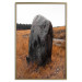 Poster Field Signpost - landscape with black stone against golden meadow 124390 additionalThumb 16