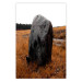 Poster Field Signpost - landscape with black stone against golden meadow 124390