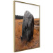 Poster Field Signpost - landscape with black stone against golden meadow 124390 additionalThumb 12