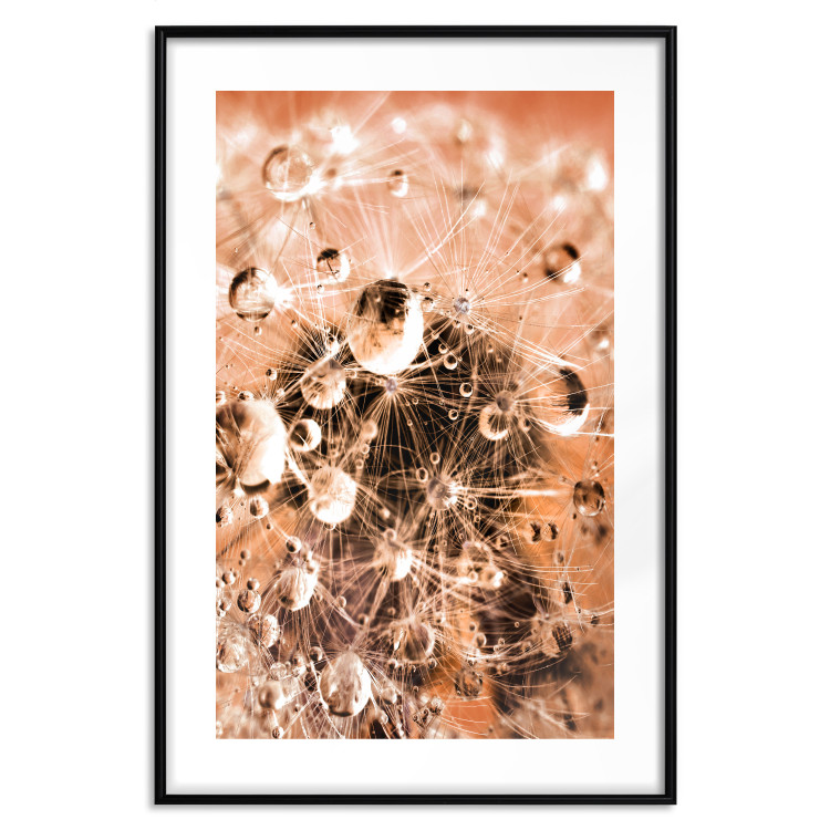Wall Poster Morning Moments - dandelion flower up close with water droplets 124490 additionalImage 17
