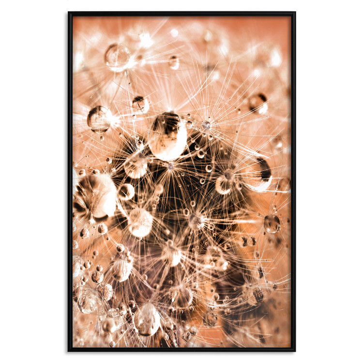 Wall Poster Morning Moments - dandelion flower up close with water droplets 124490 additionalImage 24