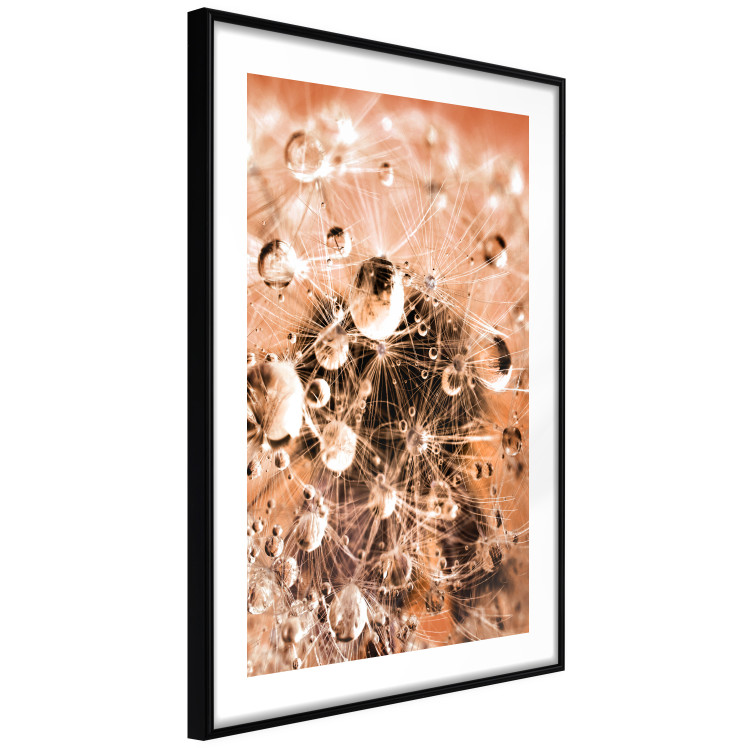 Wall Poster Morning Moments - dandelion flower up close with water droplets 124490 additionalImage 12