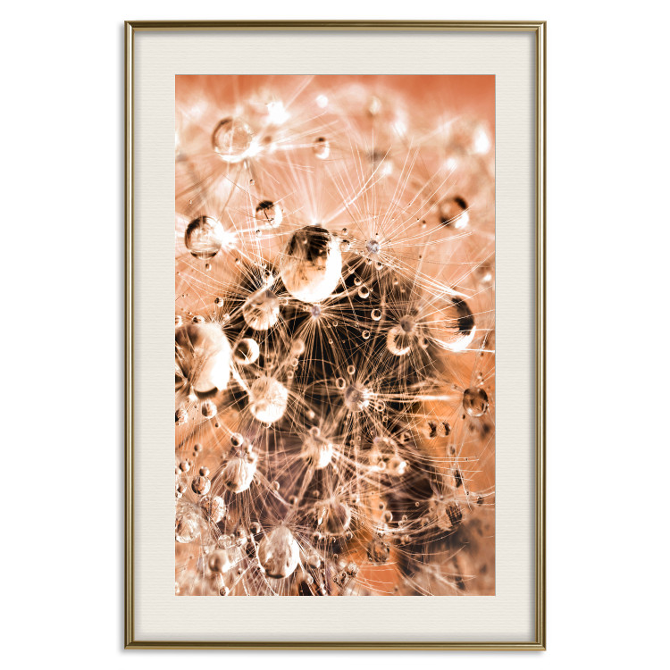 Wall Poster Morning Moments - dandelion flower up close with water droplets 124490 additionalImage 19