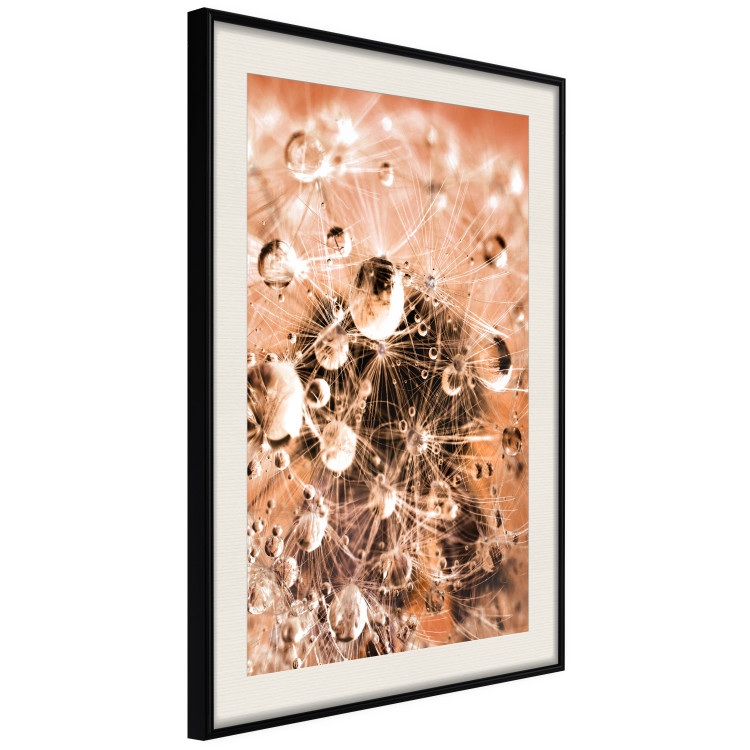 Wall Poster Morning Moments - dandelion flower up close with water droplets 124490 additionalImage 3