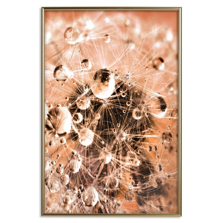 Wall Poster Morning Moments - dandelion flower up close with water droplets 124490 additionalImage 20