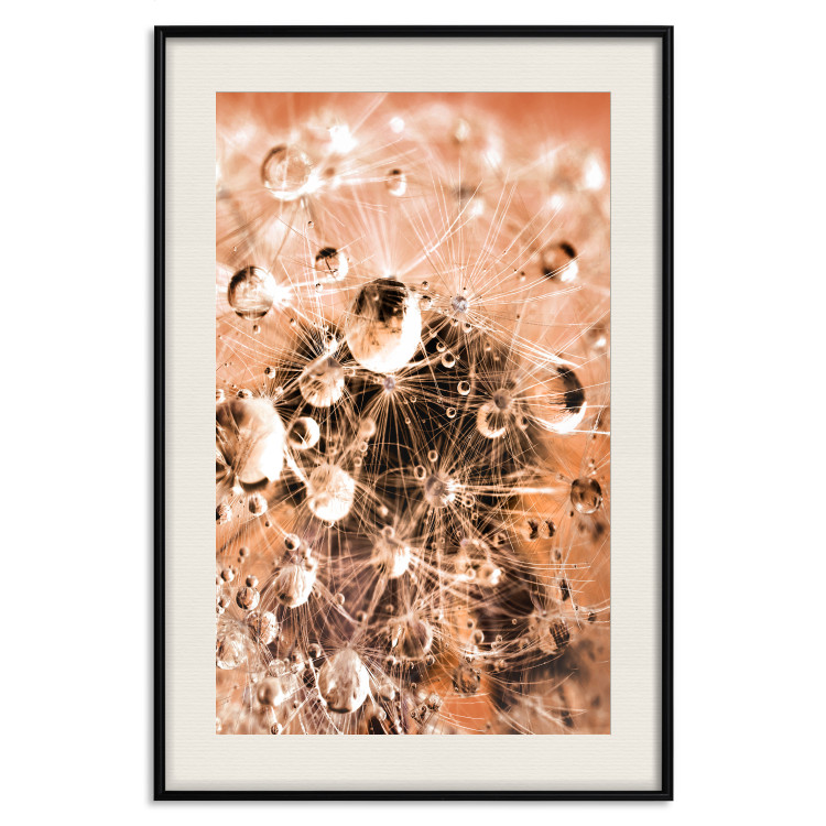 Wall Poster Morning Moments - dandelion flower up close with water droplets 124490 additionalImage 18