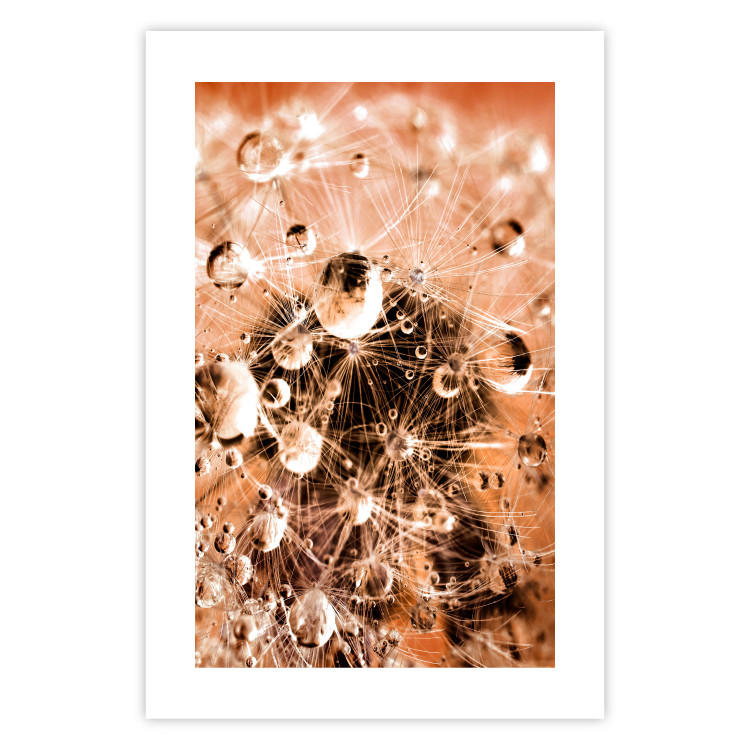 Wall Poster Morning Moments - dandelion flower up close with water droplets 124490 additionalImage 25