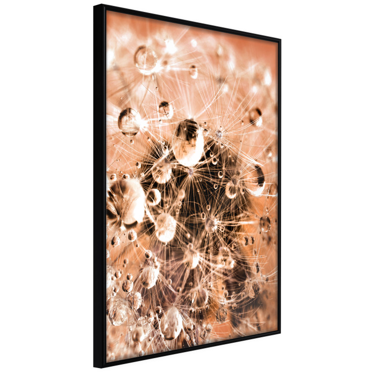 Wall Poster Morning Moments - dandelion flower up close with water droplets 124490 additionalImage 11