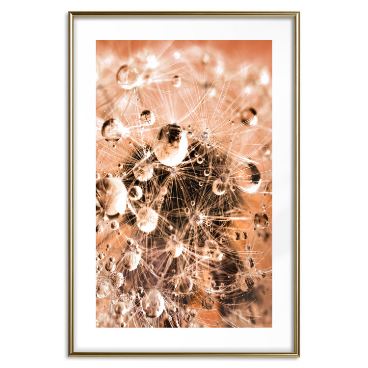 Wall Poster Morning Moments - dandelion flower up close with water droplets 124490 additionalImage 16
