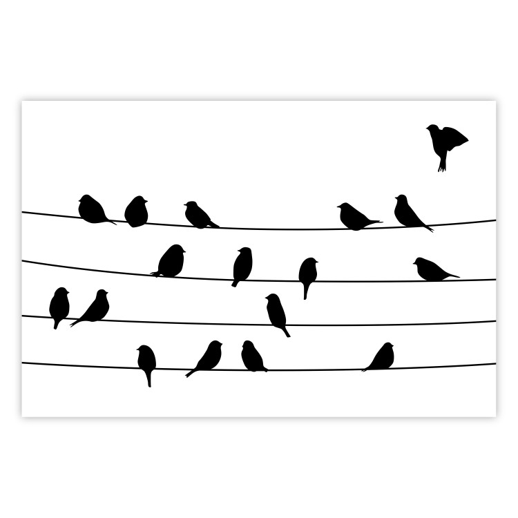 Wall Poster Bird Family - black and white birds sitting on wires on a white background 125090