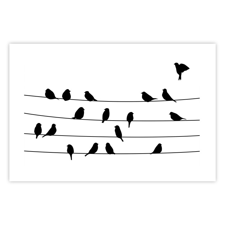 Wall Poster Bird Family - black and white birds sitting on wires on a white background 125090 additionalImage 19
