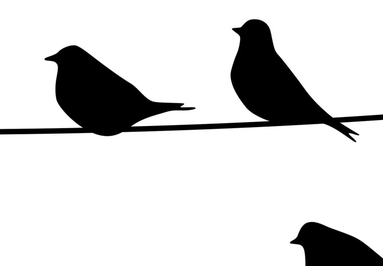 Wall Poster Bird Family - black and white birds sitting on wires on a white background 125090 additionalImage 8