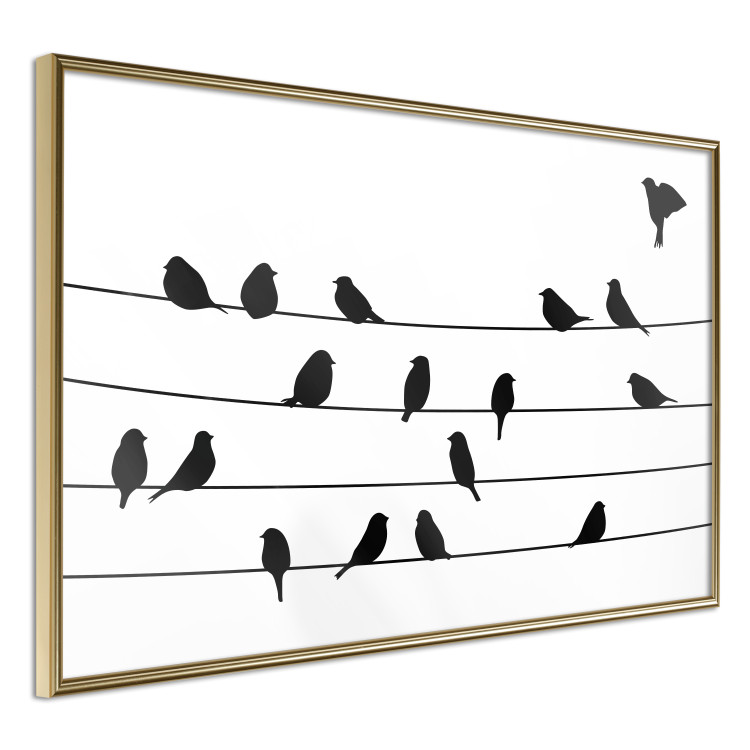 Wall Poster Bird Family - black and white birds sitting on wires on a white background 125090 additionalImage 12