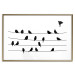 Wall Poster Bird Family - black and white birds sitting on wires on a white background 125090 additionalThumb 14