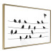 Wall Poster Bird Family - black and white birds sitting on wires on a white background 125090 additionalThumb 6