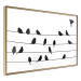 Wall Poster Bird Family - black and white birds sitting on wires on a white background 125090 additionalThumb 12