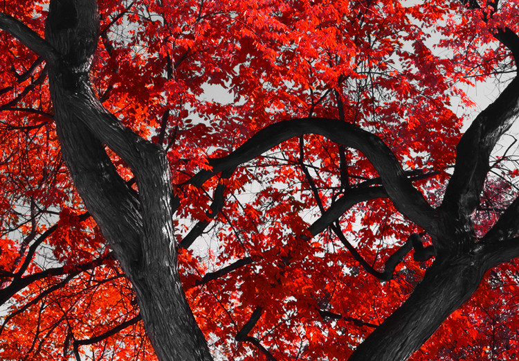 Large canvas print Autumn in the Park (Red) [Large Format] 125590 additionalImage 5