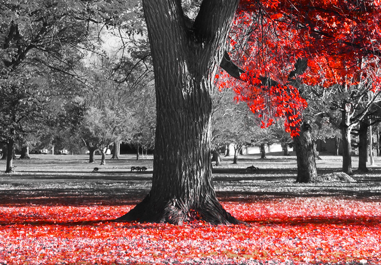Large canvas print Autumn in the Park (Red) [Large Format] 125590 additionalImage 4