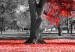 Large canvas print Autumn in the Park (Red) [Large Format] 125590 additionalThumb 4
