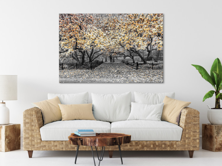 Canvas Print Blooming Magnolias - magnolia trees with flowers in shades of orange 128790 additionalImage 3