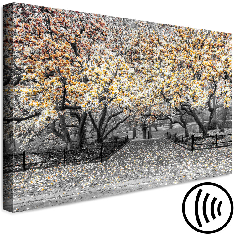Canvas Print Blooming Magnolias - magnolia trees with flowers in shades of orange 128790 additionalImage 6